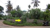 Mukkola Mannanthala land for sale