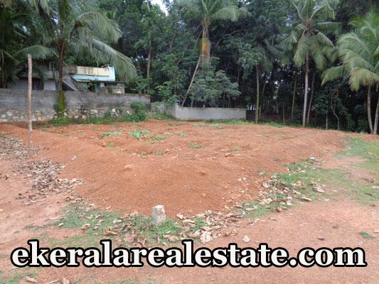Poovachal Kattakada 6 cents residential land for sale