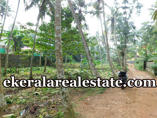 20 cents land sale at Marayamuttom Neyyattinkara