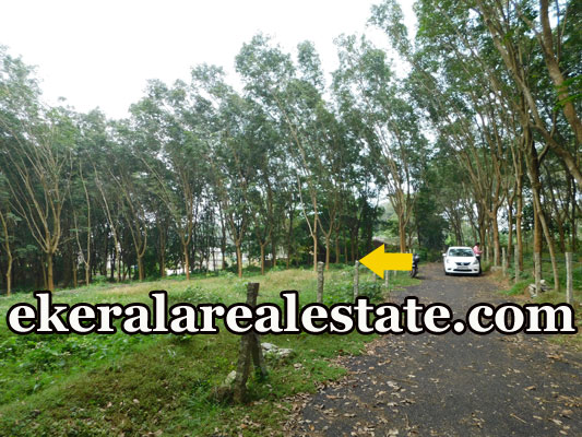 Residential land plot 30cents sale at Sreekariyam Trivandrum